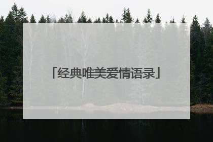 经典唯美爱情语录