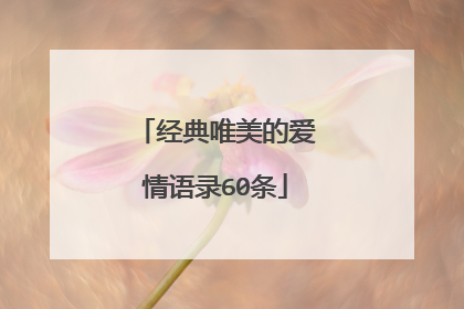 经典唯美的爱情语录60条
