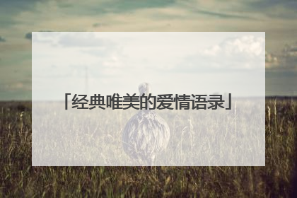 经典唯美的爱情语录