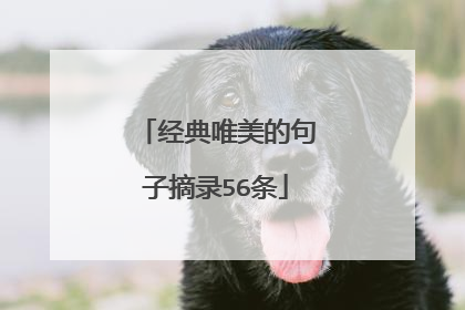 经典唯美的句子摘录56条