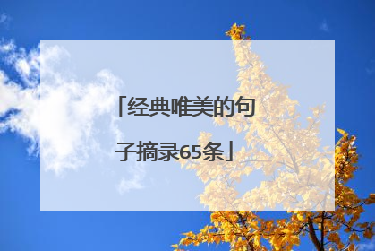 经典唯美的句子摘录65条
