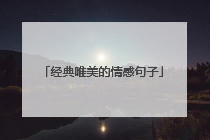 经典唯美的情感句子