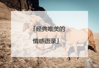 经典唯美的情感语录
