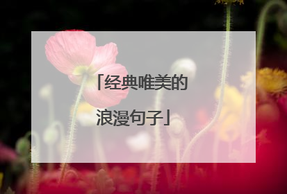 经典唯美的浪漫句子