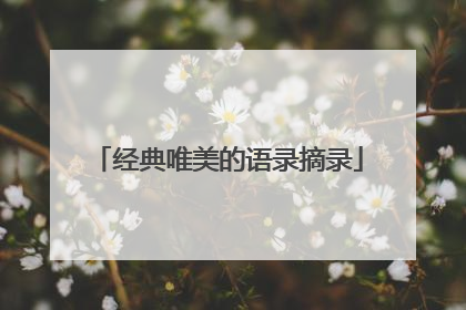 经典唯美的语录摘录