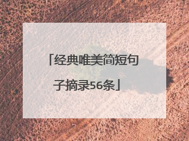 经典唯美简短句子摘录56条