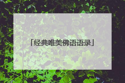 经典唯美佛语语录