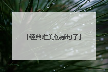 经典唯美伤感句子