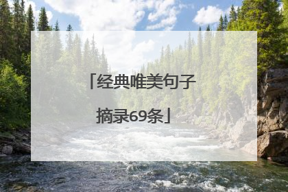 经典唯美句子摘录69条