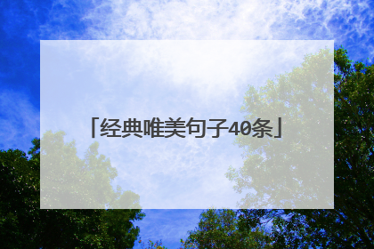 经典唯美句子40条
