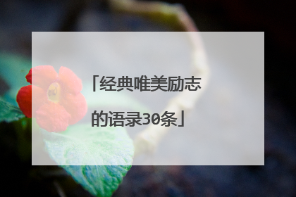 经典唯美励志的语录30条