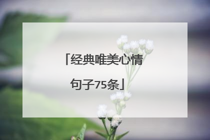 经典唯美心情句子75条