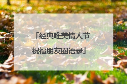 经典唯美情人节祝福朋友圈语录