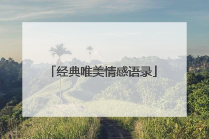 经典唯美情感语录
