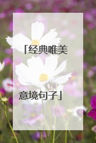 经典唯美意境句子