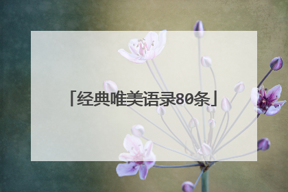 经典唯美语录80条
