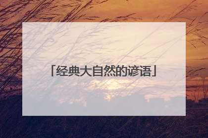 经典大自然的谚语