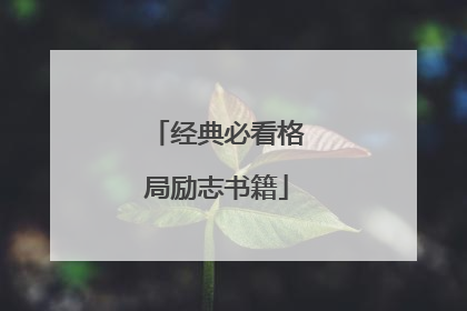 经典必看格局励志书籍