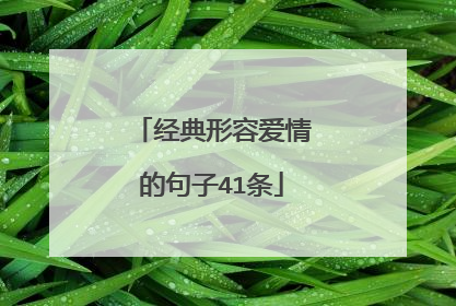 经典形容爱情的句子41条