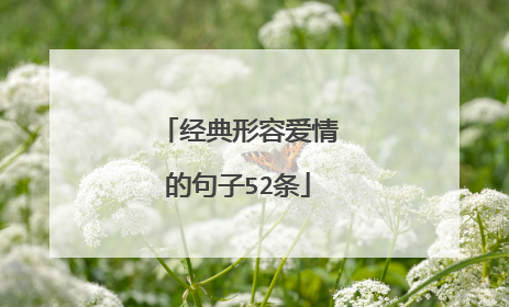 经典形容爱情的句子52条