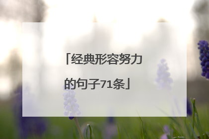 经典形容努力的句子71条