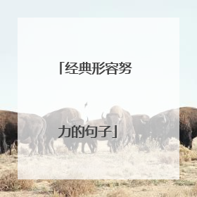 经典形容努力的句子