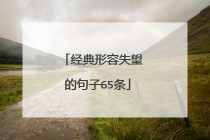 经典形容失望的句子65条