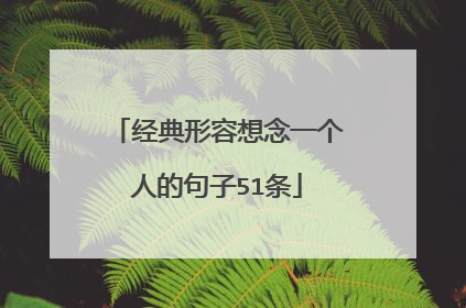 经典形容想念一个人的句子51条