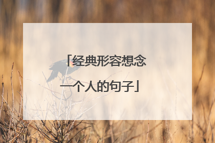 经典形容想念一个人的句子