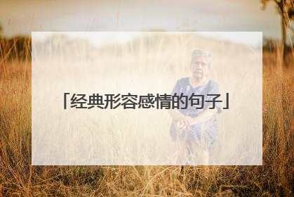 经典形容感情的句子