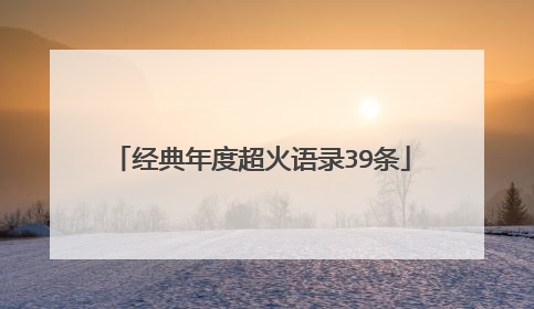 经典年度超火语录39条