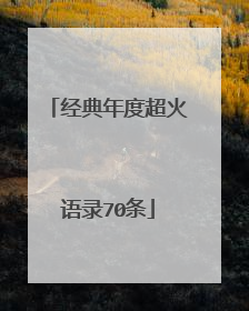 经典年度超火语录70条