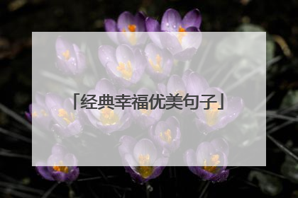 经典幸福优美句子