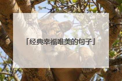 经典幸福唯美的句子