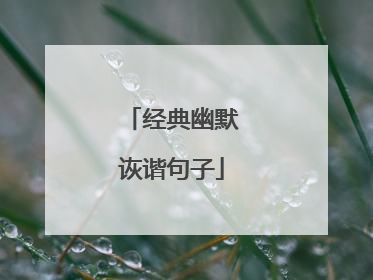 经典幽默诙谐句子