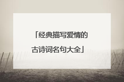 经典描写爱情的古诗词名句大全