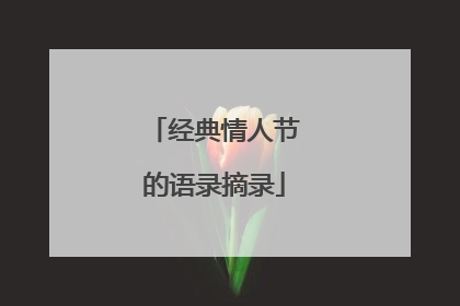 经典情人节的语录摘录