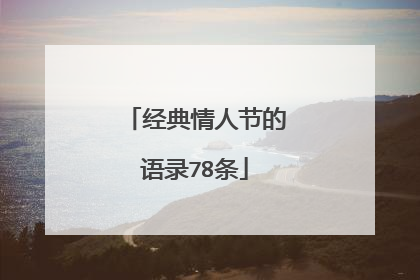 经典情人节的语录78条