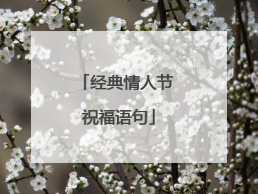 经典情人节祝福语句