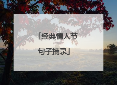 经典情人节句子摘录