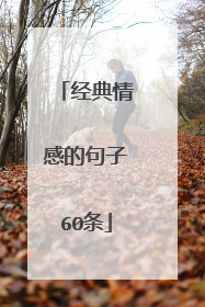 经典情感的句子60条