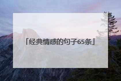 经典情感的句子65条