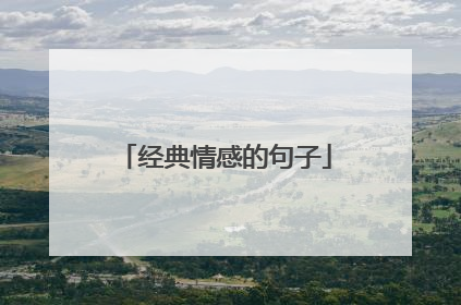 经典情感的句子
