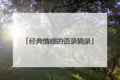 经典情感的语录摘录