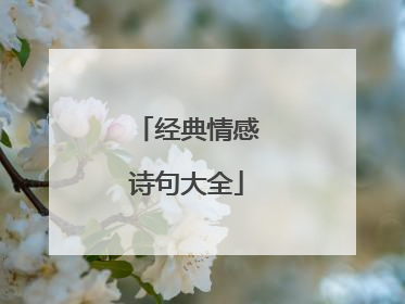 经典情感诗句大全