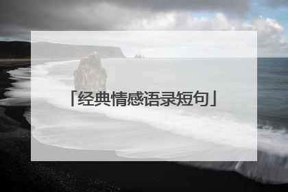 经典情感语录短句