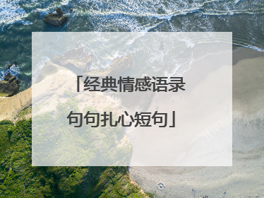 经典情感语录句句扎心短句