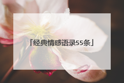 经典情感语录55条