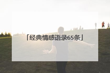 经典情感语录65条