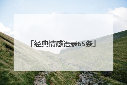 经典情感语录65条